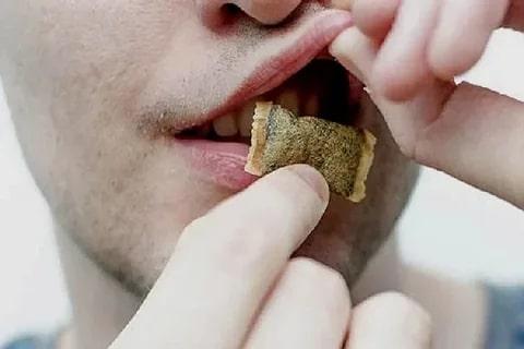 Что такое жевательный табак и зачем его используют Что такое жевательный табак и зачем его используют